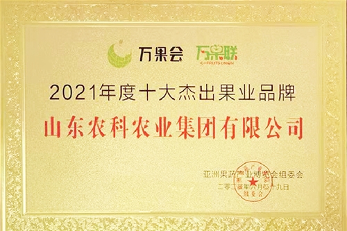 2021���ʮ�������ҵƷ��