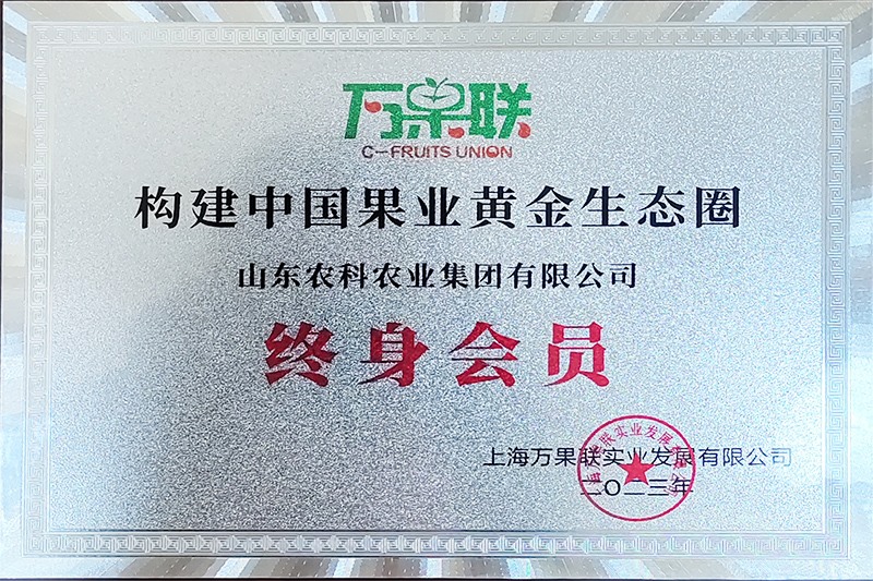 ������Ա