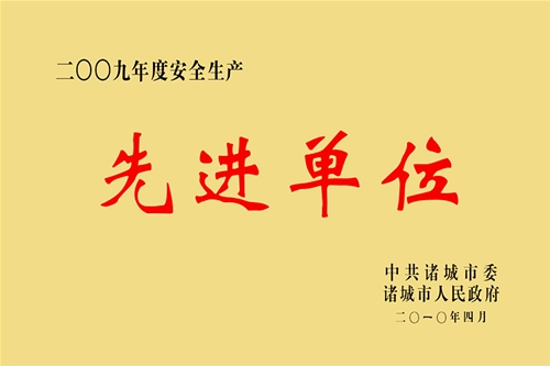 2009����Ƚ���ҵ