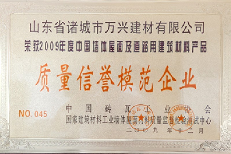 2009�����������ģ����ҵ