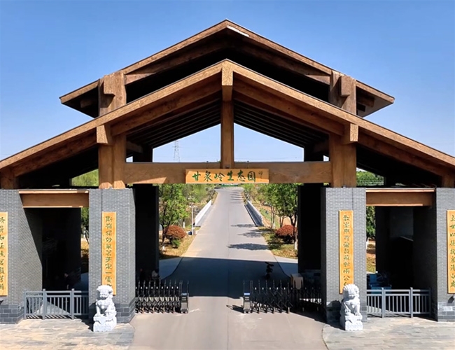 �̲�����