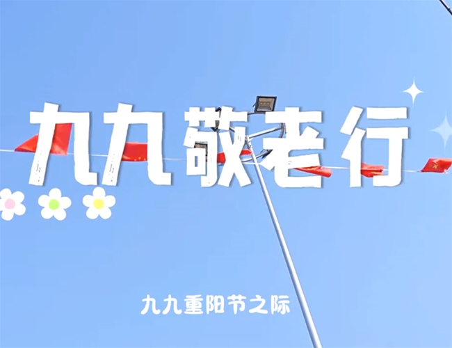 �žž�����