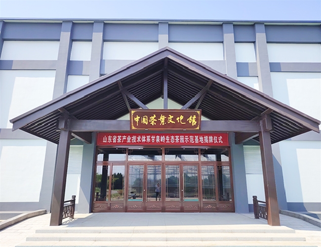 �й���Ҷ�Ļ���