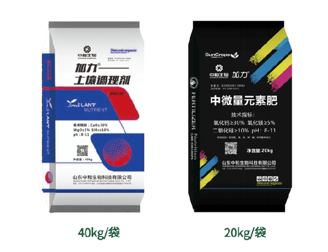 ����-����������