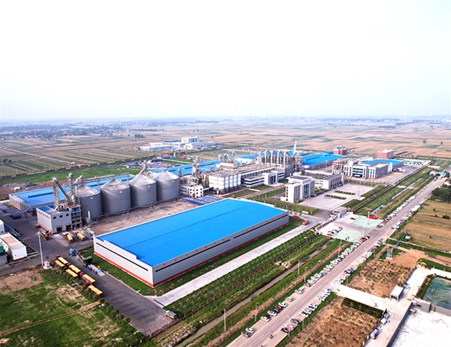 山东省100万吨玉米深加工项目